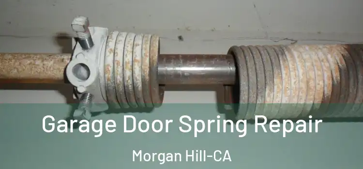  Garage Door Spring Repair Morgan Hill-CA