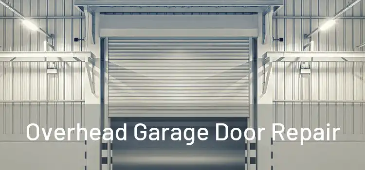  Overhead Garage Door Repair 